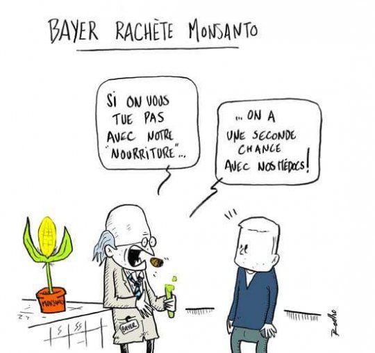 En achetant Monsanto, Bayer contrôlera près d’un tiers du marché mondial des semences Bayer